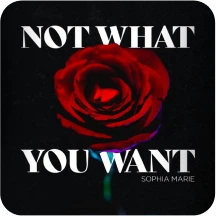 Not-What-You-Want-downloaded-from-SpotiSongDownloader.com_-1